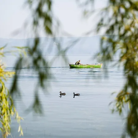 Askania 2* İznik