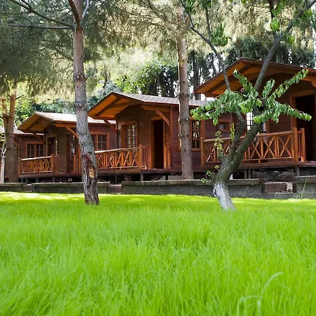 Hotel Askania 2*