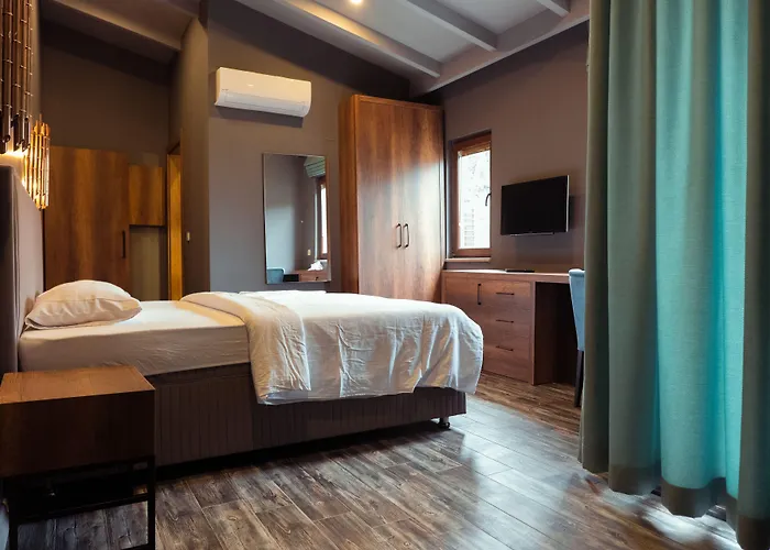 Отель Askania 2*