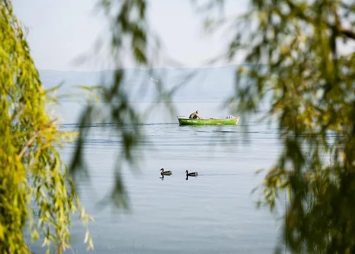 Askania 2* Изник